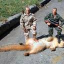 Randy Bentley - @Goalieman9 - Twitter