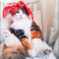 EmmaDubya (@emmadubya) 's Twitter Profile