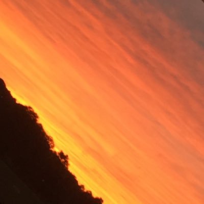 funkopop123's profile picture. 