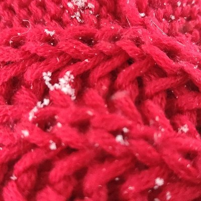 evenkeelcruises's profile picture. 