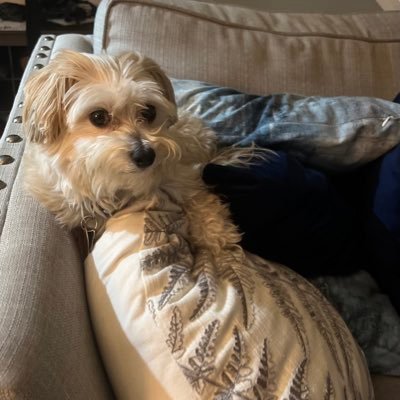 reallmcfucked's profile picture. Who needs a bio when we’re fucked?