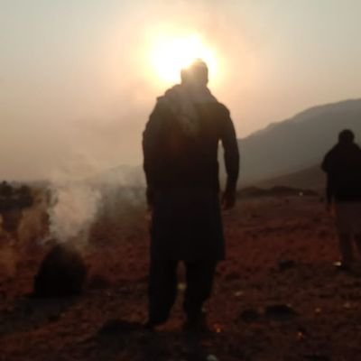 aadikhan313's profile picture. Muhammadi