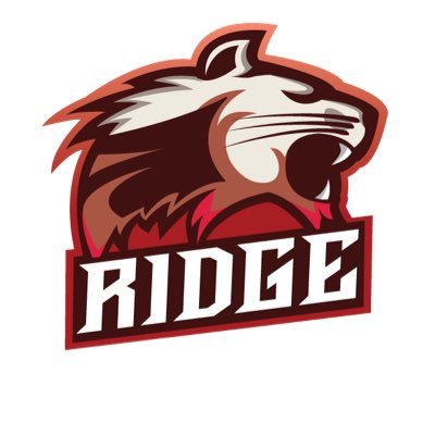 MRHS_eSports's profile picture. Mountain Ridge Rocket League and League of Legends teams