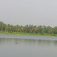 السيابي من آل المُسّيبْ (@e1luclp6tbswbul) 's Twitter Profile