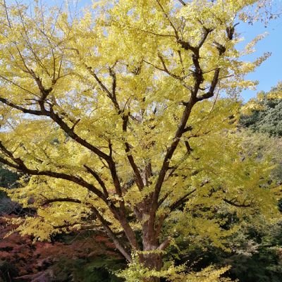 178さんのプロフィール画像