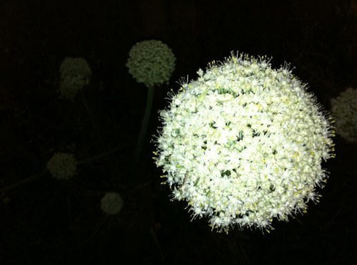 alsoclaudiamar's profile picture. 