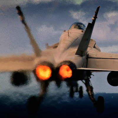 TomTomt16039021's profile picture. 