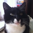 Helene Cherry - @helene_e_cherry - Twitter