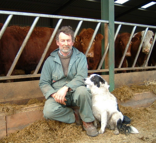 @mccallangus