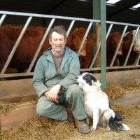 Angus McCall (@mccallangus) 's Twitter Profile Photo
