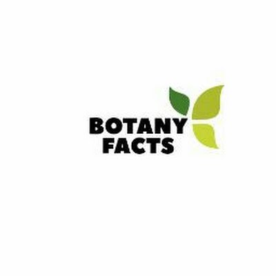 BotanyFacts Profile Picture