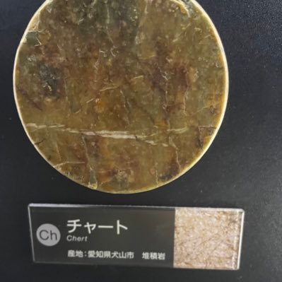 B3物理 無言フォロー失礼