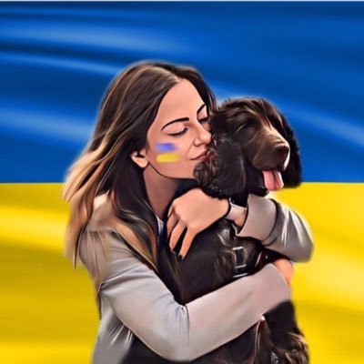 TheBigO_NFSC's profile picture. Best generation, No vaccine