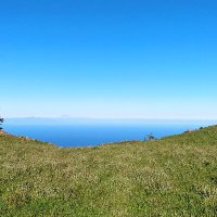 PaleoVerde (@paleoverde) 's Twitter Profile Photo