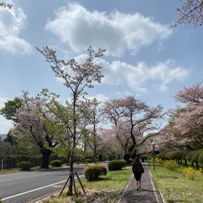 よろしくお願いします 25卒