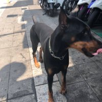 王郡 (@jianmingzhuang2) 's Twitter Profile