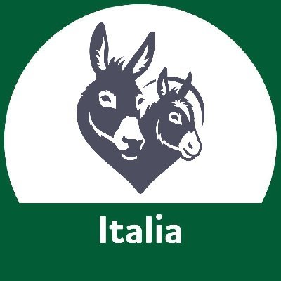 Ci occupiamo di asini e muli abbandonati e maltrattati in Italia, Grecia, Romania, Francia e Svizzera. Italian base of @DonkeySanctuary