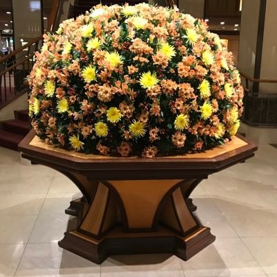 PSXYulCt2gPre54's profile picture. 