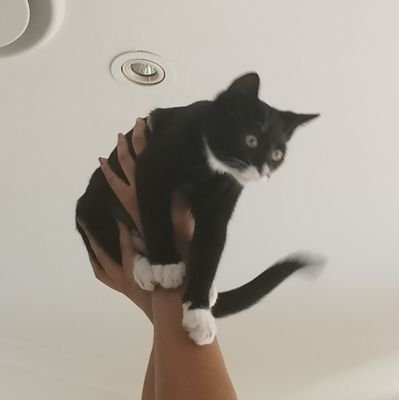 delgrasho's profile picture. 🚮
(⌐■-■) dumpy !¡ 
I hate you