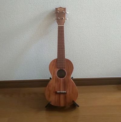 仙台市在住。音楽と体を動かすこと、スコッチウイスキーが大好きです。最近はウクレレで弾き語りにはまってます☺️
それから、DTMをかじってみようかと、思ってます。