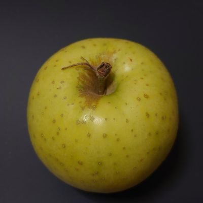 ふたつの山姥切再燃出戻り審神者 たまに腐混入注意 読んだり見たりは気が向いたらなんでも……からの 最近は刀剣乱舞ONLINEの与太掘りちらかしが楽しい もちマス画像を見かけたらいいねを押さずにはいられない病 超チキンゆえの無言フォロー失礼します
https://t.co/kiOJn42P3j