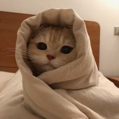 麥麥さんのプロフィール画像