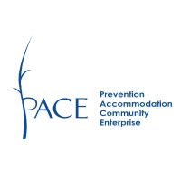 PACE(@PACE_IRL) 's Twitter Profile Photo