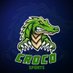 Croco eSports (@tmcrocoesports) Twitter profile photo