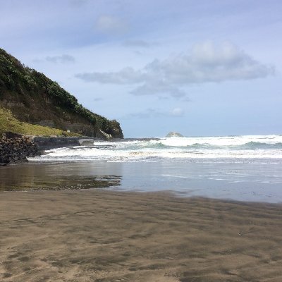 compcon242's profile picture. I'm feeling lucky