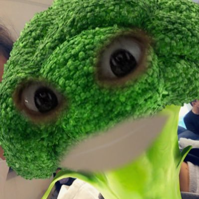 paddington28_'s profile picture. i am human. not broccoli.