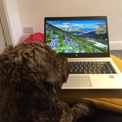 Communications Manager 🏴🇬🇧💞🧘♂️🍾🌟👠👩👩👧👦😜