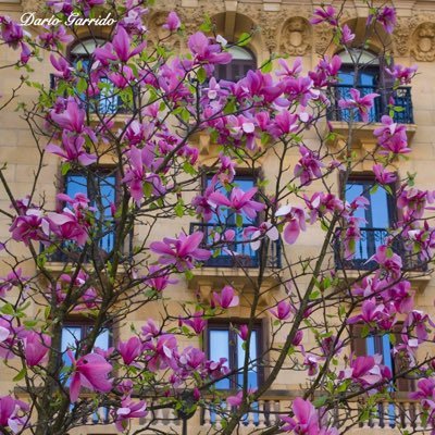 skyskystar7's profile picture. 😊😊