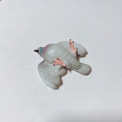 かのこ鳩さんのプロフィール画像