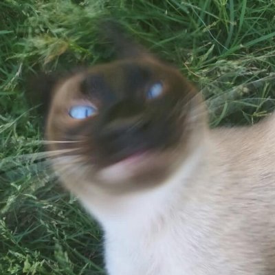 _PhantomDev_'s profile picture. 