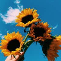 TN (@rnintaaan) Twitter profile photo