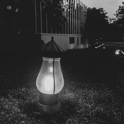 parkjulina's profile picture. 