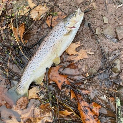 JasonD197142's profile picture. Technologist, Change Agent, Dad, outdoorsman.Views expressed are my own