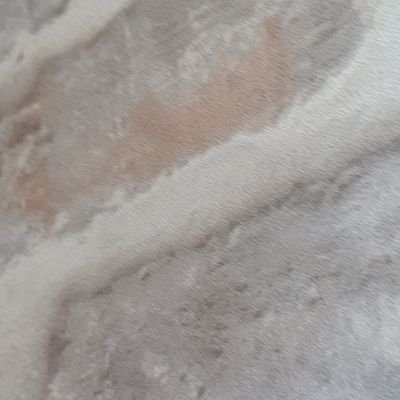 BednorzM's profile picture. 