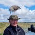 Les Phillips (@northwallbirder) Twitter profile photo Les Phillips (@northwallbirder) Twitter profile photo