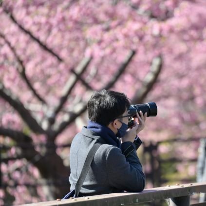 とりっぴーなんて呼ばれたりします    豊山～日大理工交通～大学院～社会人   薬学アンサンブル同好会/ラケットボール/打楽器/ドラム/ダーツ/ゴルフ