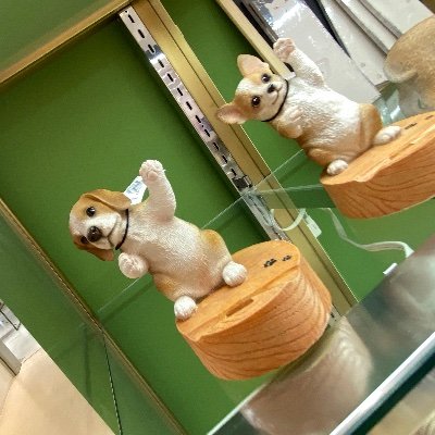 Koinu20220311's profile picture. いつかやりたいときめきアイス