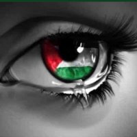 Free Palestine(@farbizi) 's Twitter Profileg