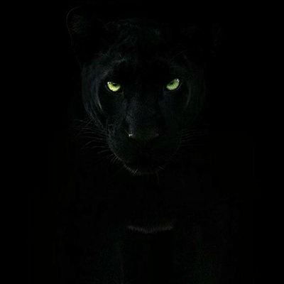 Tr7al32's profile picture. كلمتان خفيفتان على اللسان ثقيلتان في الميزان حبيبتان الى الرحمن .. سبحان الله و بحمده سبحان الله العظيم