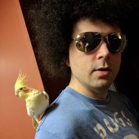 Nationally Published Troll (@mongo_ebooks) 's Twitter Profile