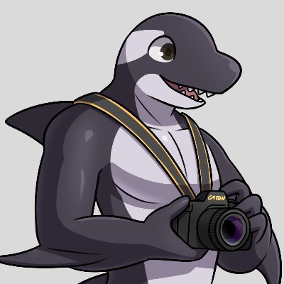 AndyPhotoOrca Profile Picture