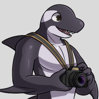 PhotoOrca (@andyphotoorca) 's Twitter Profile