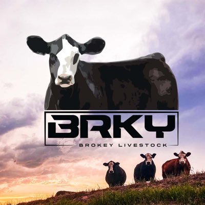 BrokeyLivestock's profile picture. Purebred & Percentage Cattle • AKC Pembroke Welsh Corgis ▫️ Estevan, SK @brokeycoop @t_mcpherson96