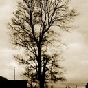 Carol Boyer - @csuemi - Twitter