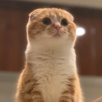 taka1376's profile picture. 