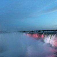 FREEMAN (@bizacctax) 's Twitter Profile